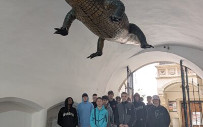 Brněnské ulice